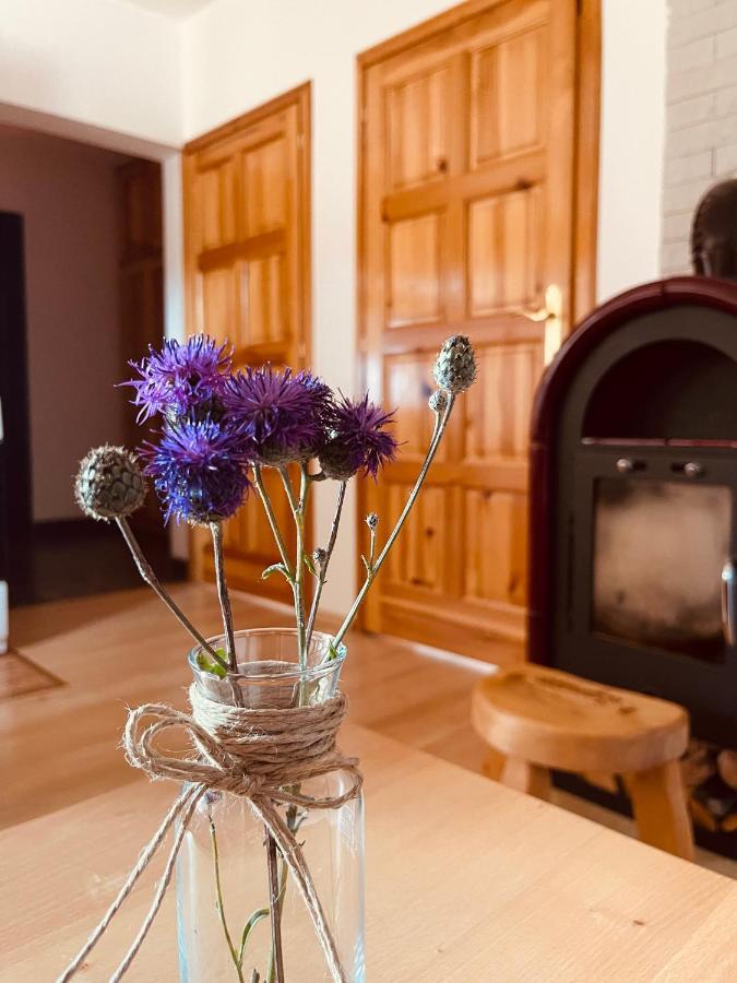 Hill Durmitor Apartment ชาเบลียค ภายนอก รูปภาพ