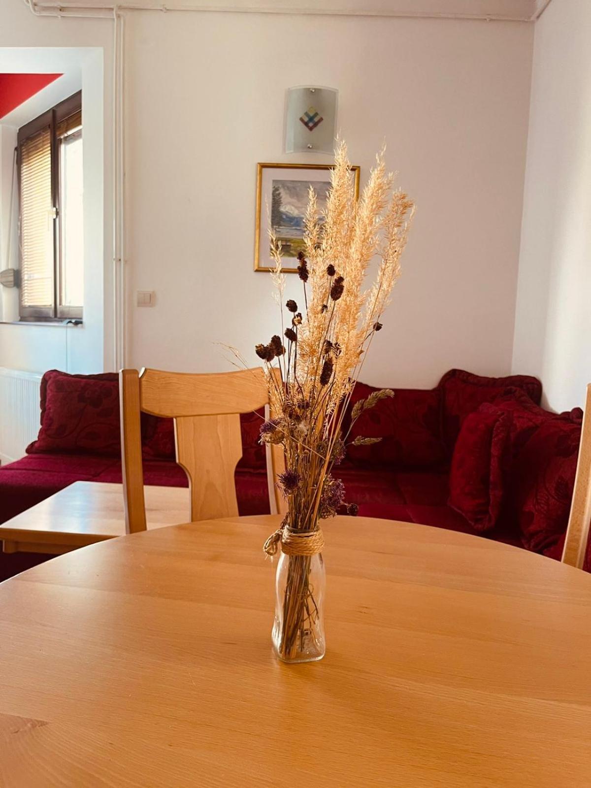 Hill Durmitor Apartment ชาเบลียค ภายนอก รูปภาพ